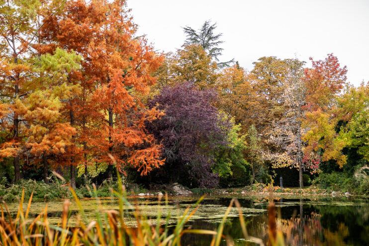boda de otono valle de los caidos 19