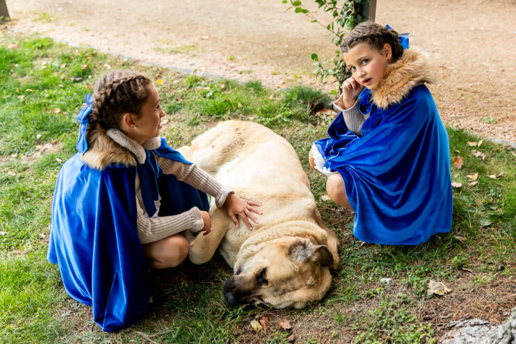 boda de otono valle de los caidos 38
