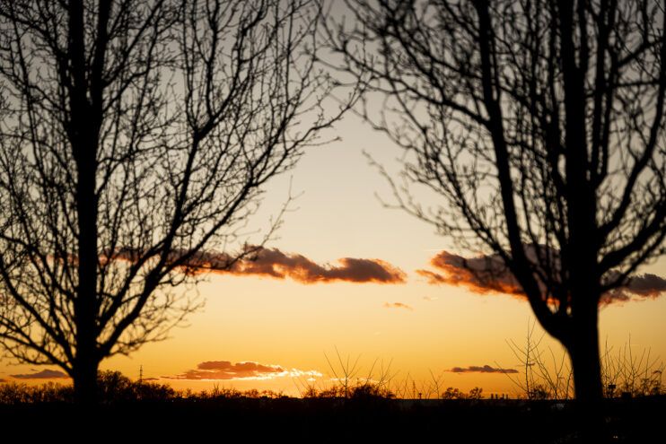 fotos de boda invierno atardecer 51